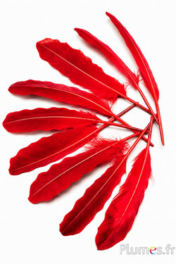 Anatra - 16-18 cm - rossa-nera